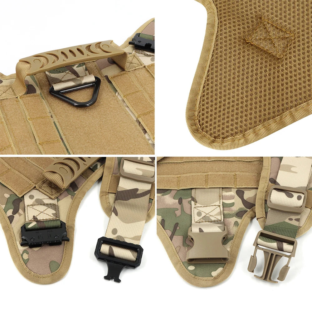 Harnais MOLLE avec Collier et Laisse pour Berger Allemand