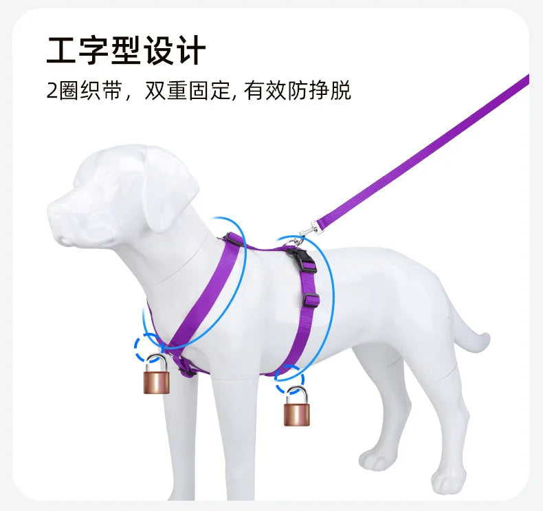 Harnais et Laisse Nylon Résistant pour Grand Chien