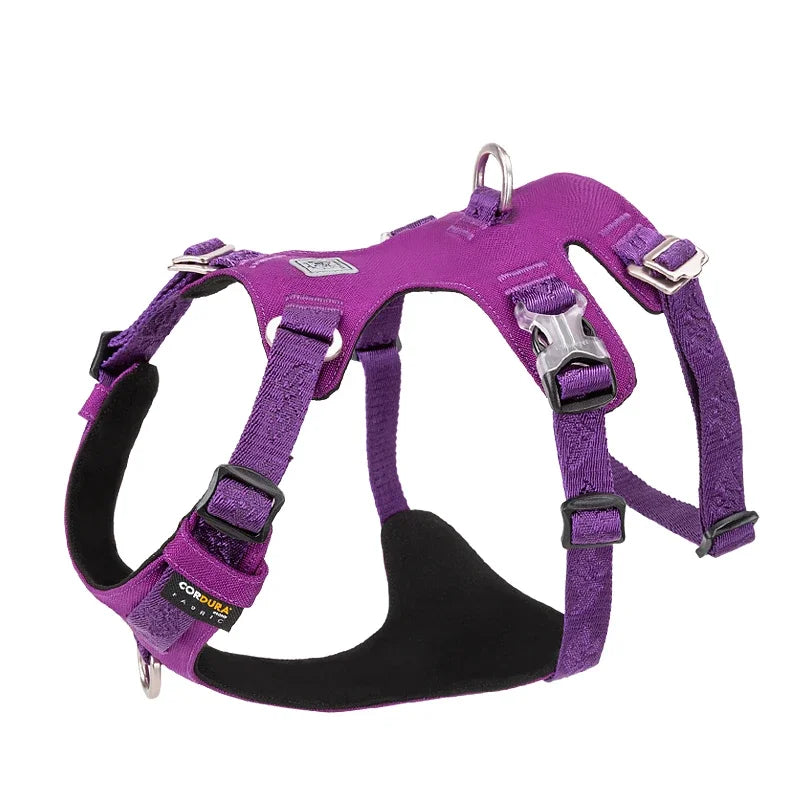 Harnais Nylon Double-H pour Chien - Léger et Imperméable
