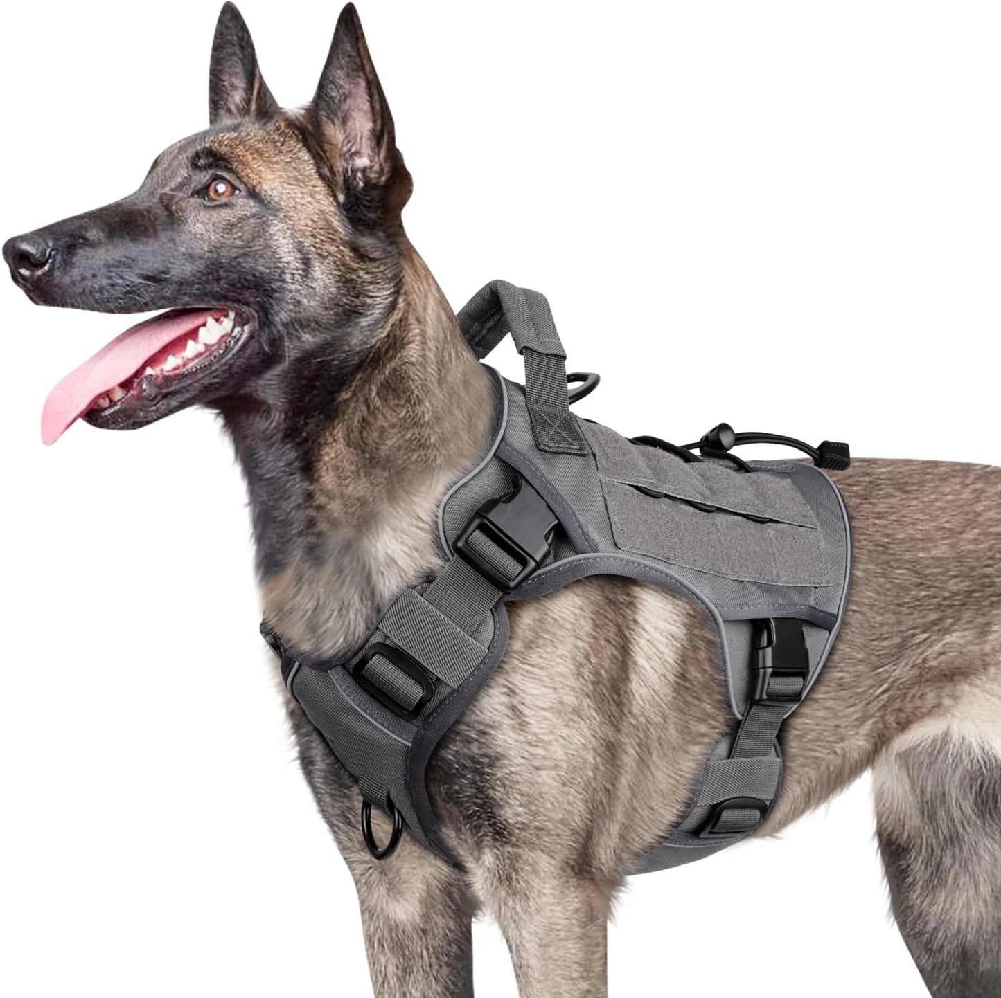 Harnais Tactique Militaire Sans Traction pour Labrador et Grand Chien