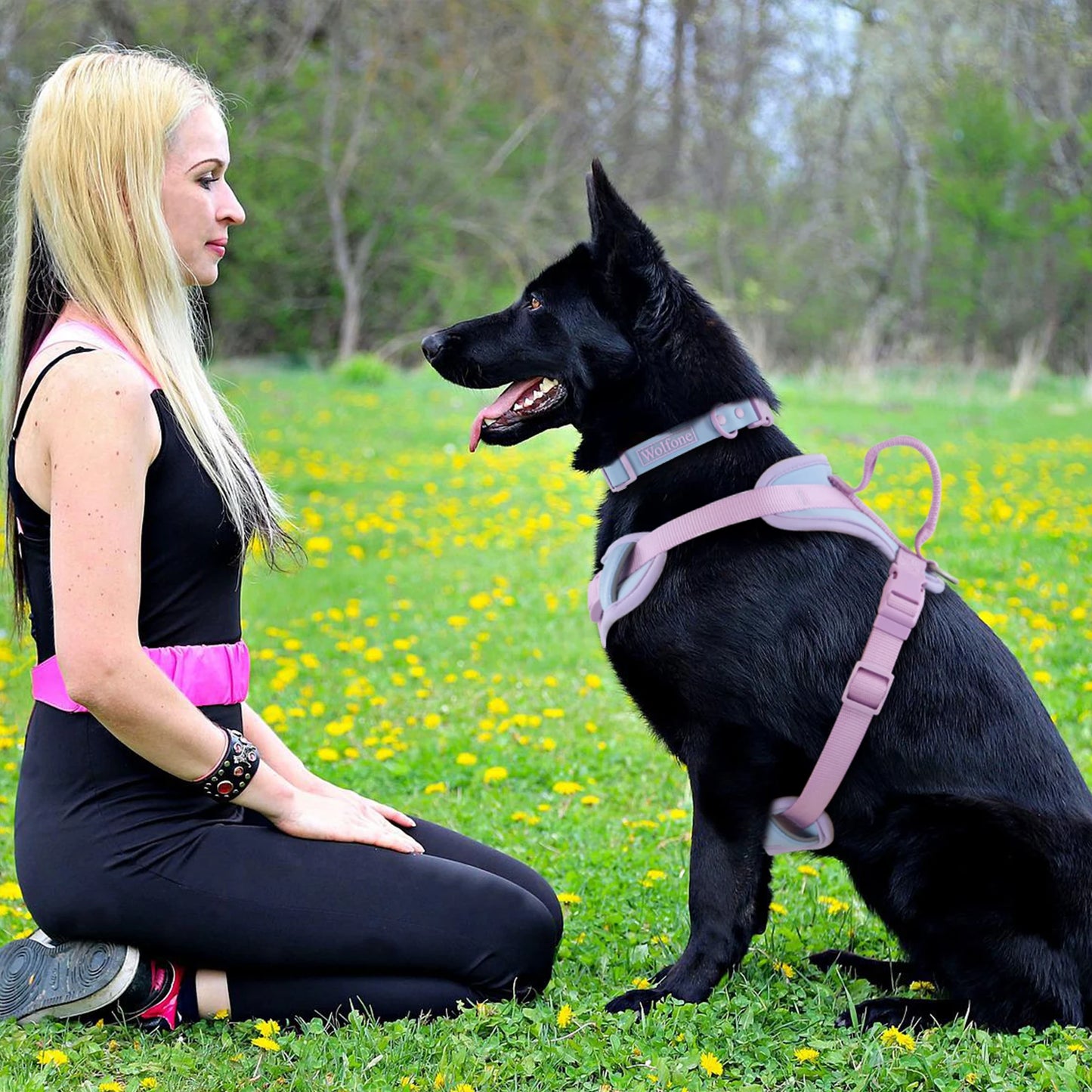 Harnais de Luxe Moyen Anti-Traction pour Chien - Personnalisé
