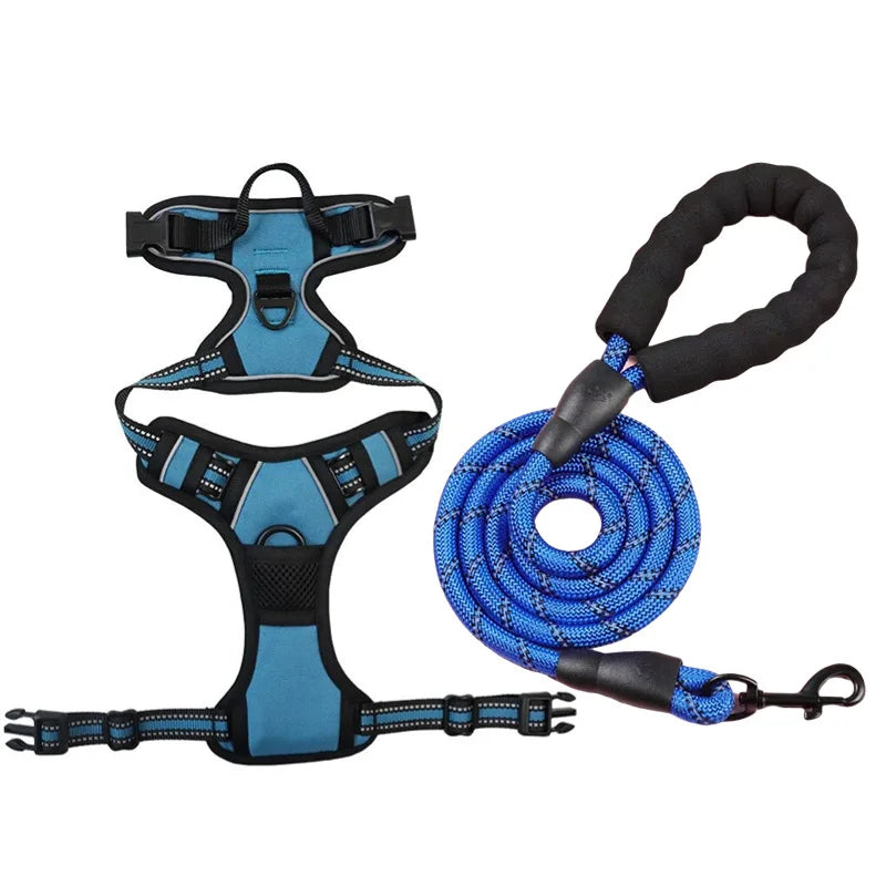 Harnais et Laisse Corde Nylon pour Grand Chien