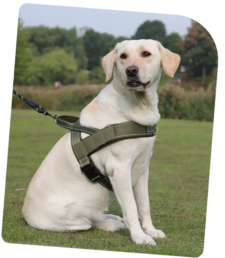 Harnais Gilet de Selle Léger et Réfléchissant pour Chien
