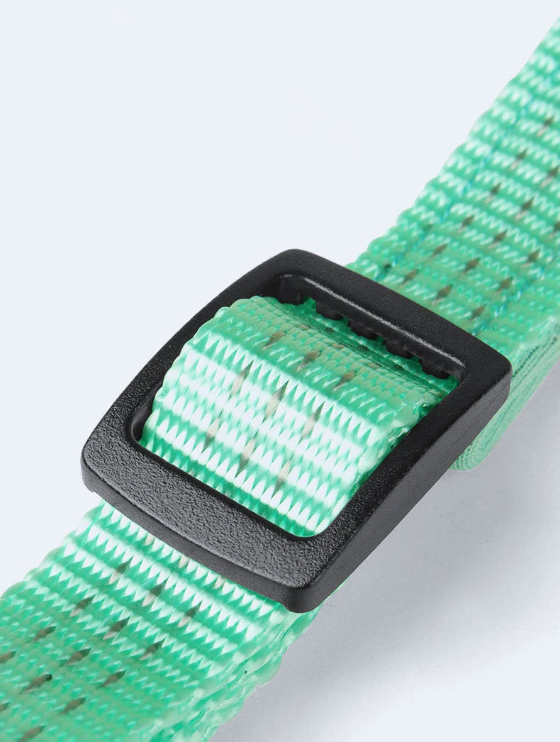 Harnais Type H en Nylon avec 2 Anneaux D - Léger, Anti-Traction