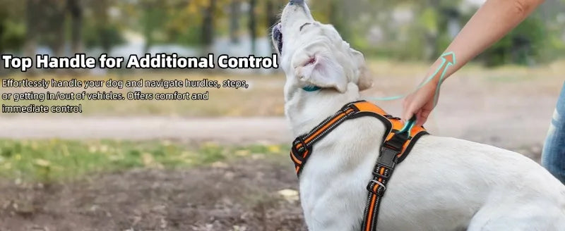 Harnais de Poitrine Antidérapant pour Chien Moyen/Grand - Style Gilet