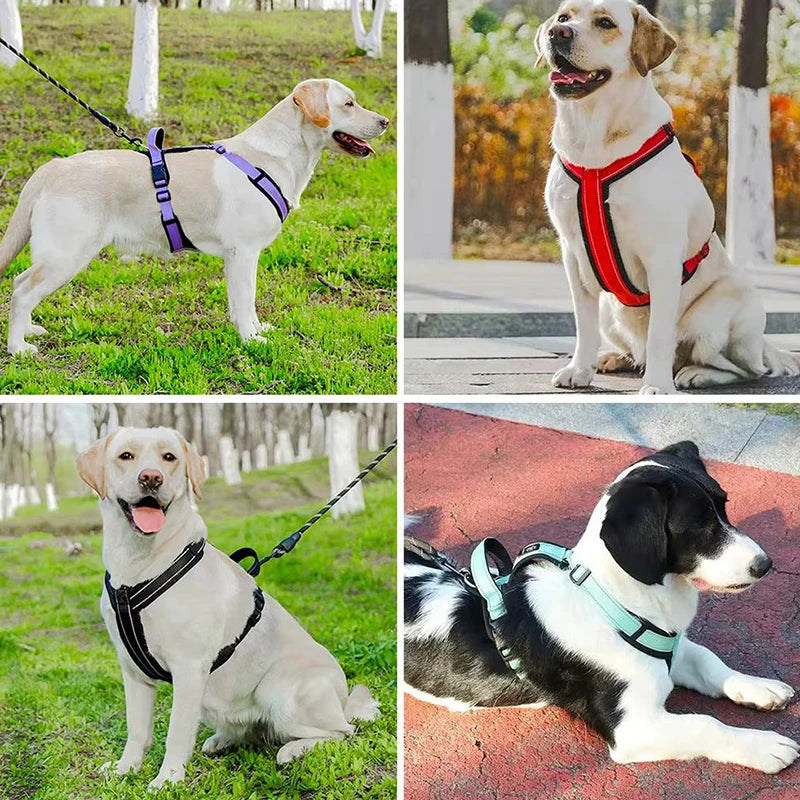 Harnais Gilet Rembourré Sans Traction pour Petit et Moyen Chien - Nouvelle Collection
