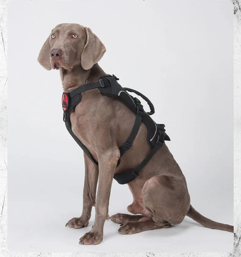 Harnais Anti-Évasion Réfléchissant avec Localisateur pour Chien