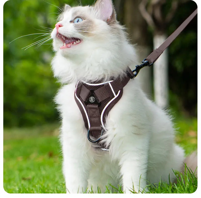 Ensemble Harnais et Laisse Sans Traction pour Petit Chien et Chat