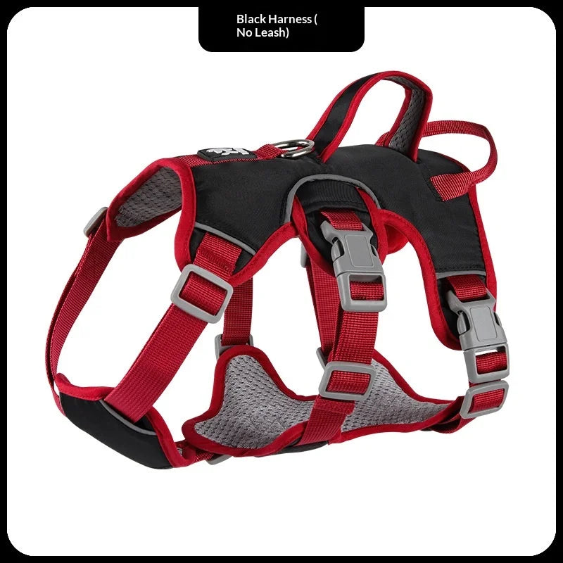 Harnais Anti-Évasion 3 Sections pour Grand Chien - avec Laisse