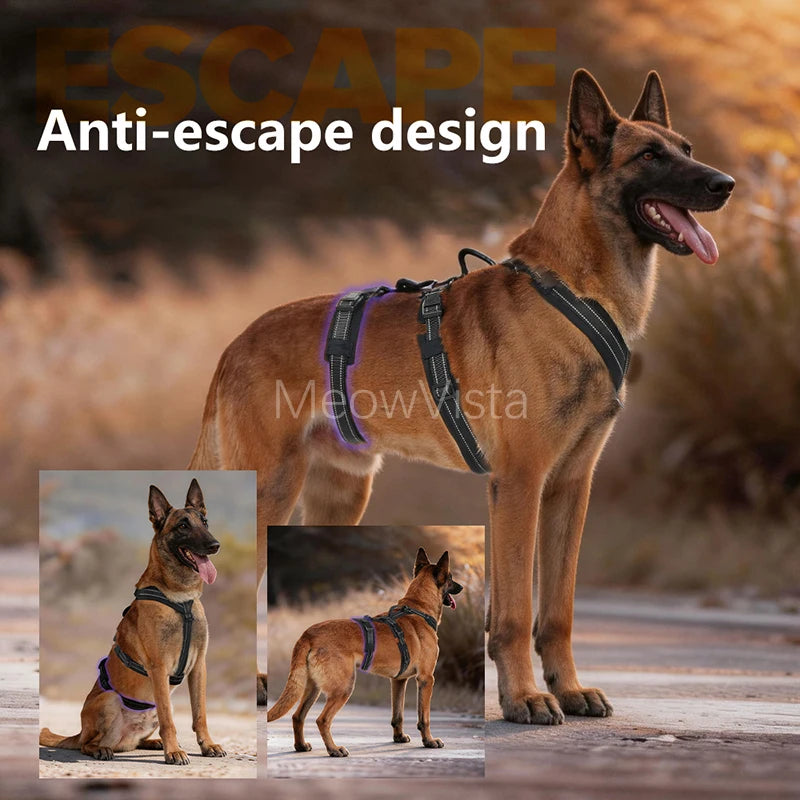 Harnais Robuste Rembourré Anti-Traction pour Chien Moyen/Grand - Travail