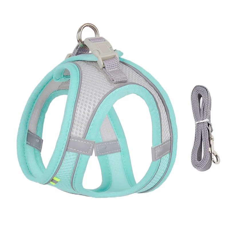 Ensemble Accessoires Réglables pour Chiots et Chats - Bouledogue, Chihuahua