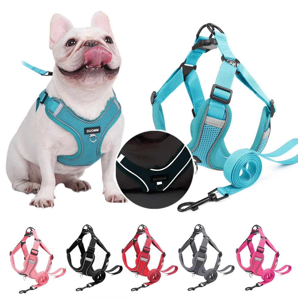 Ensemble Harnais et Laisse Classique et Doux pour Chien - Toutes Races