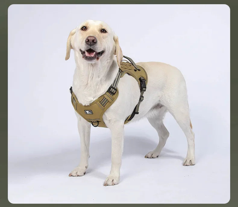 Harnais Tactique MOLLE Anti-Traction pour Grand Chien