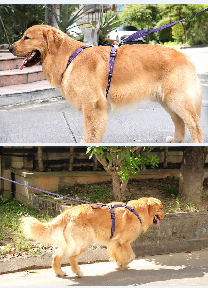 Harnais Anti-Évasion Type H pour Chien - Lavable, Réglable
