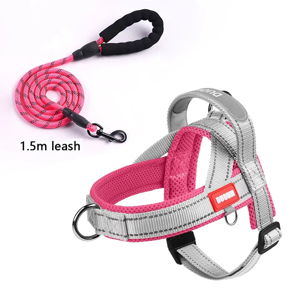 Harnais à la Mode Style Selle pour Chien - Toutes Tailles