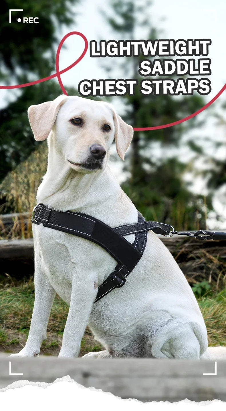 Harnais Gilet de Selle Léger et Réfléchissant pour Chien