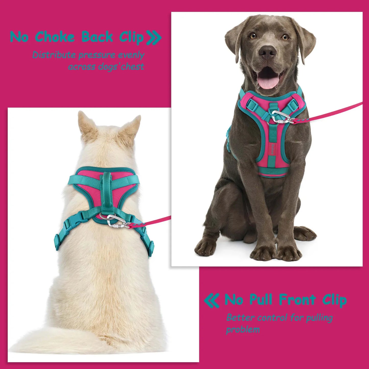 Harnais Personnalisable Anti-Traction pour Chien - Contrasté