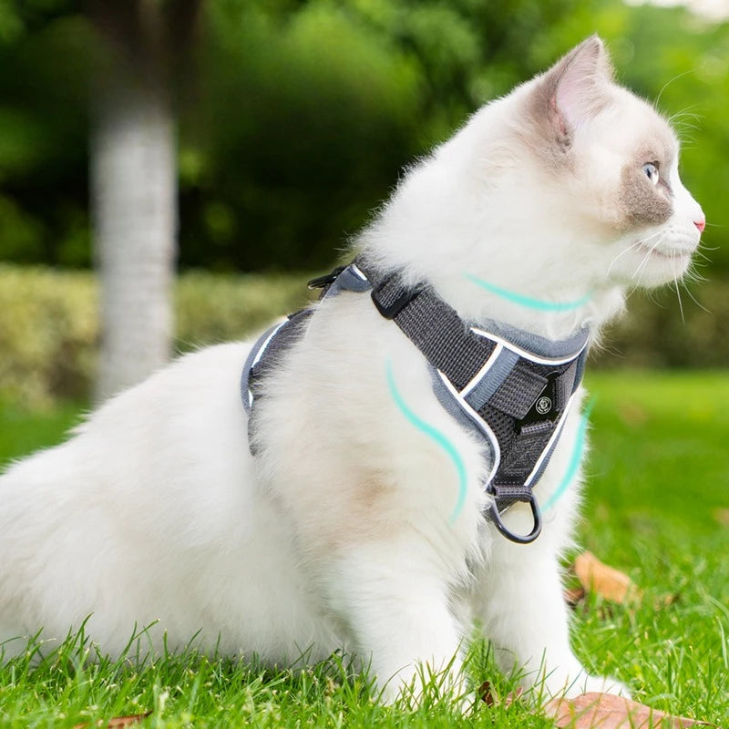 Ensemble Harnais et Laisse Sans Traction pour Petit Chien et Chat