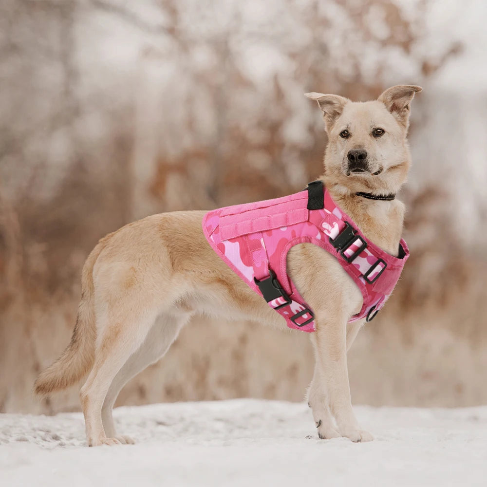 Ensemble Harnais et Laisse Tactique Militaire pour Chien - Anti-Traction