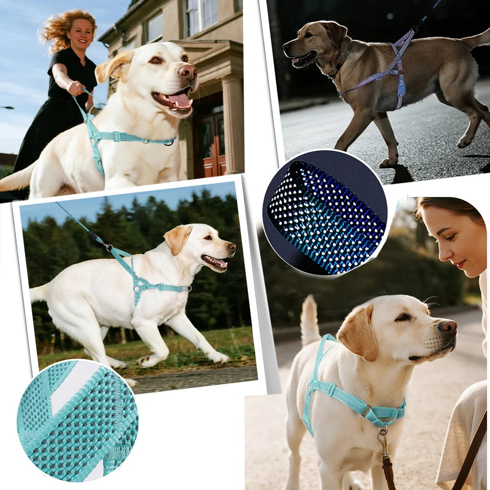 Harnais Coloré Anti-Traction pour Grand Chien - Poignée