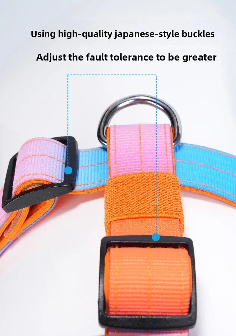 Harnais Brodé Sur Mesure en Nylon Dégradé - Anti-Traction