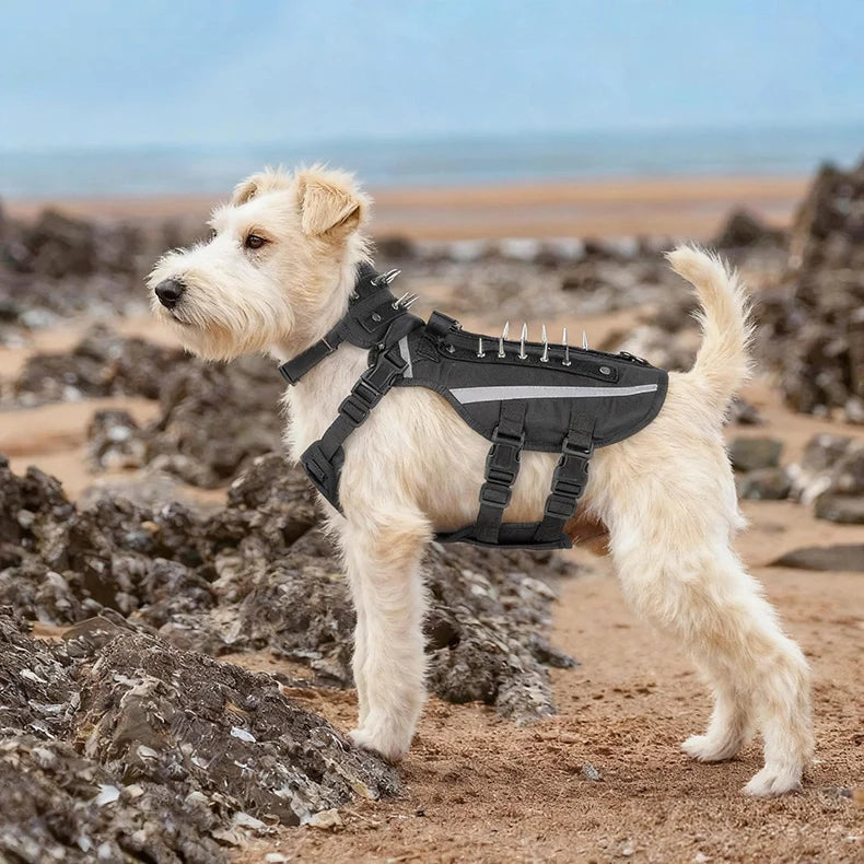 Harnais Tactique Robuste Réfléchissant pour Chien - Entraînement