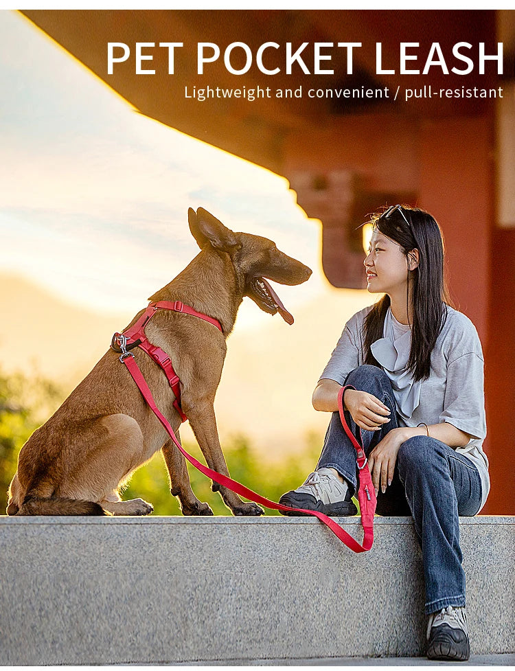 Ensemble Harnais et Laisse Anti-Traction pour Grand Chien