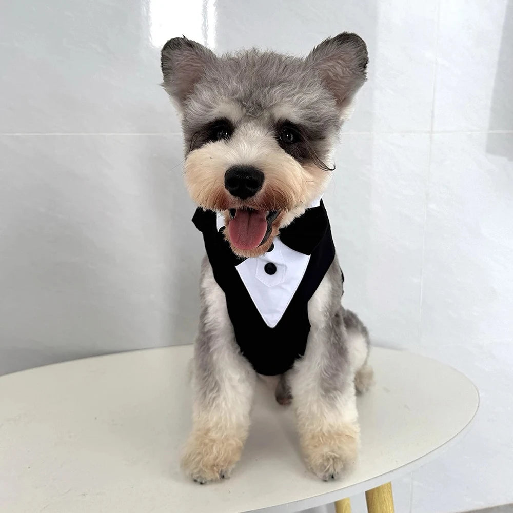 Harnais avec Nœud Papillon pour Petit et Moyen Chien - Anti-Traction