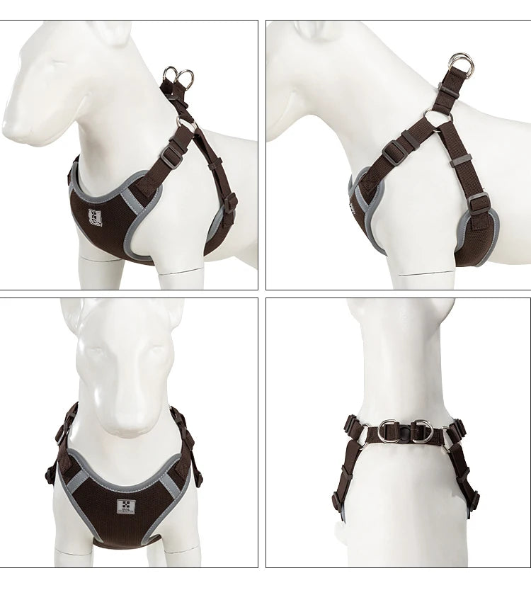 Ensemble Harnais et Laisse Réglable pour Chat et Petit Chien