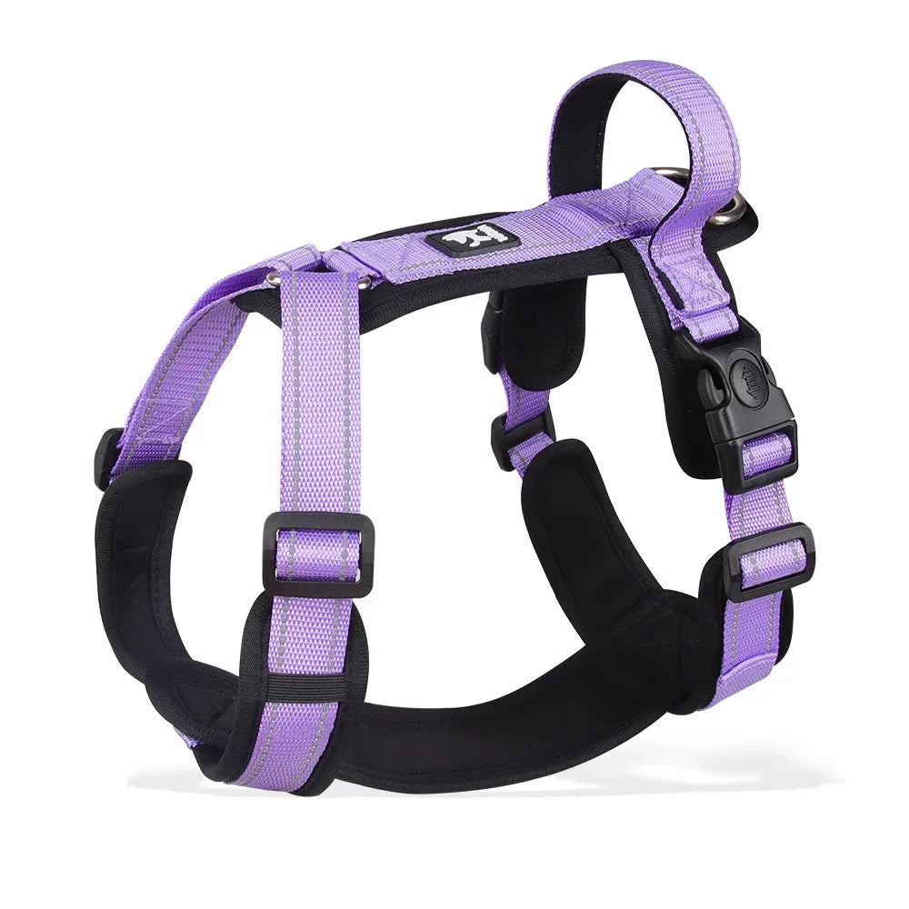 Ensemble Harnais, Laisse et Collier Classique pour Chien