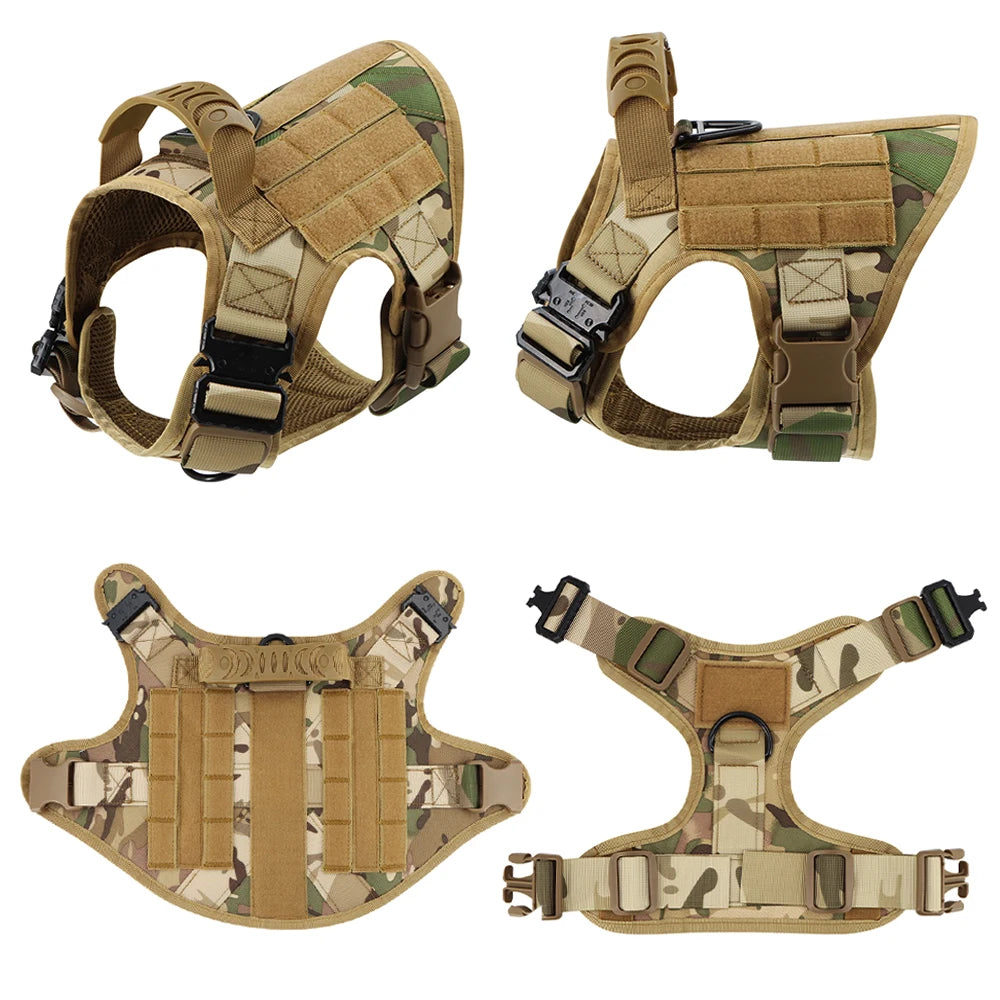 Harnais MOLLE avec Collier et Laisse pour Berger Allemand