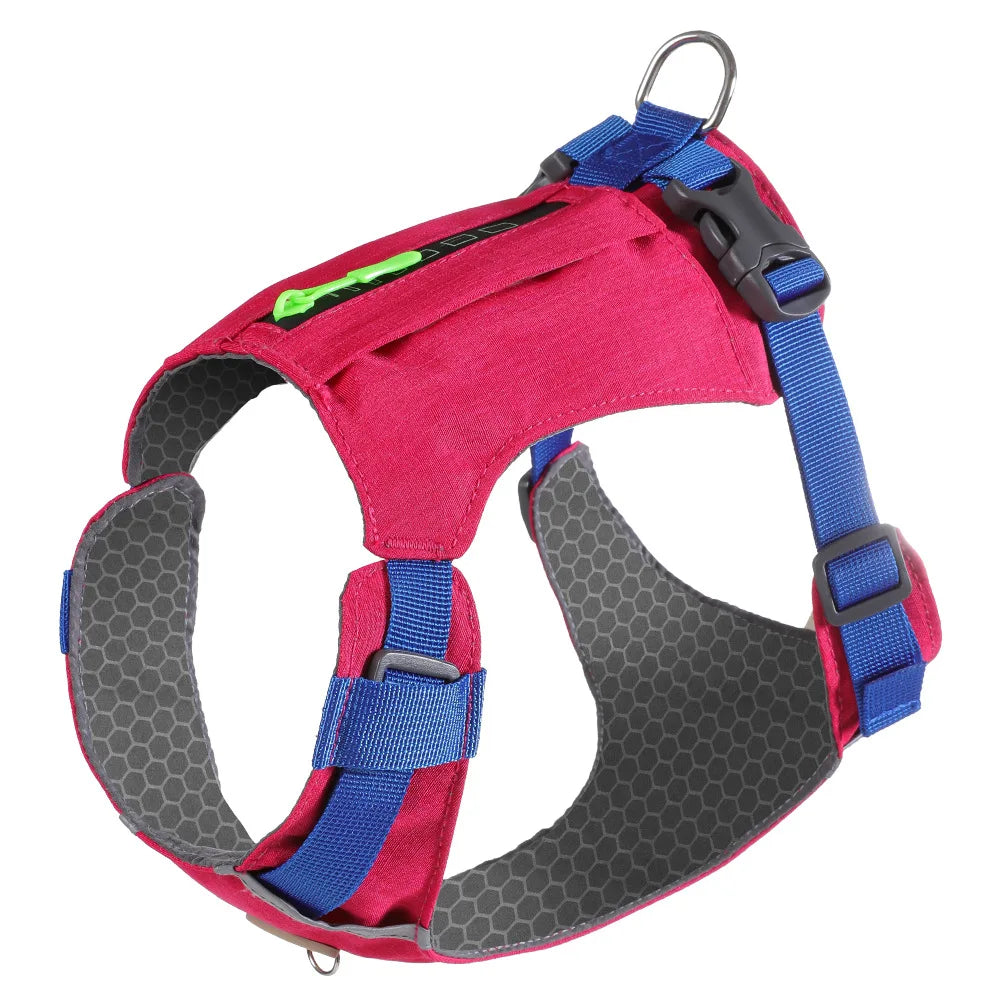 Harnais Anti-Traction pour Chien - Gilet Respirant Réglable