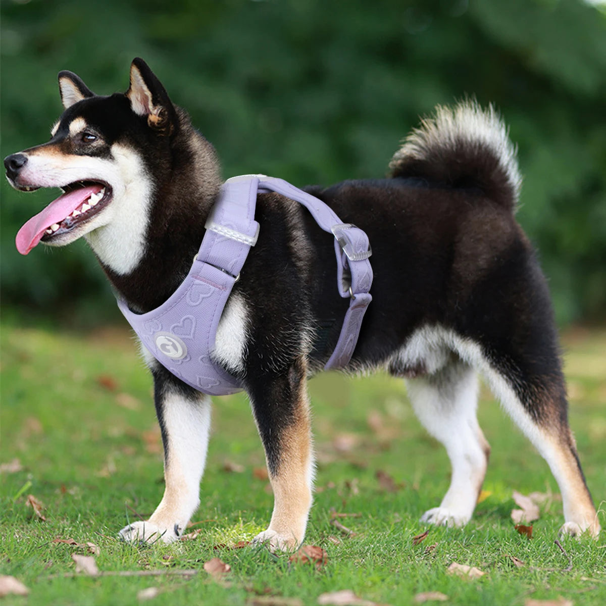 Gilet Nylon Sans Traction pour Petit Chien - Léger et Confortable