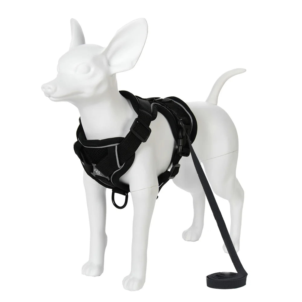 Ensemble Harnais et Laisse pour Petit Chien - Réfléchissant
