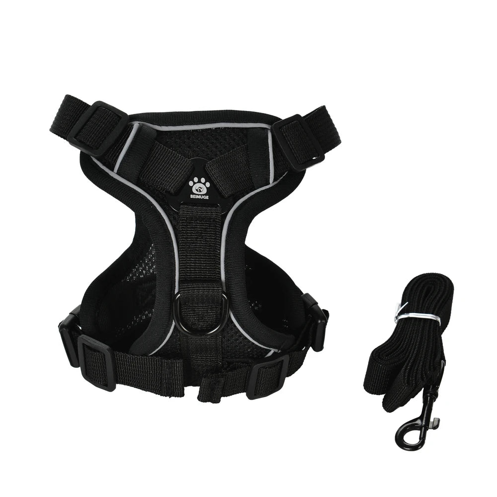 Ensemble Harnais et Laisse pour Petit Chien - Réfléchissant