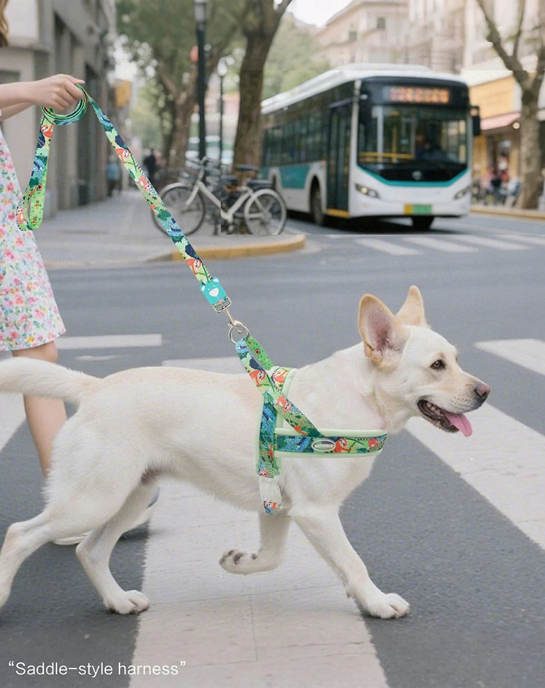 Harnais de Luxe Imprimé Rembourré pour Grand Chien - Anti-Évasion