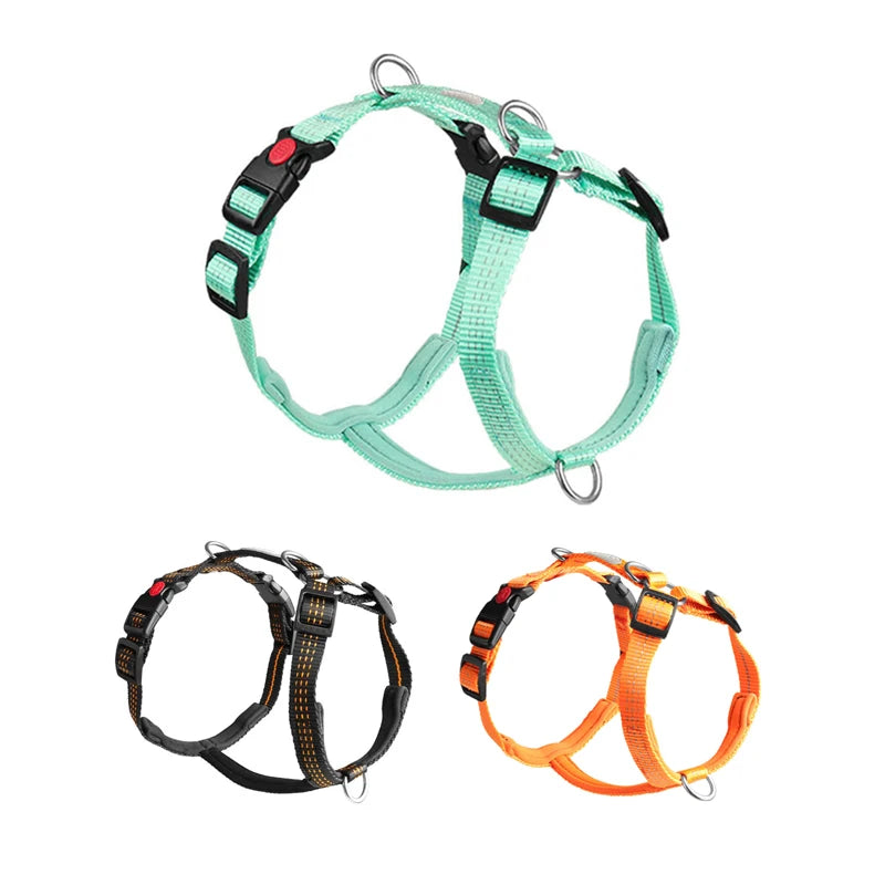 Harnais Type H en Nylon avec 2 Anneaux D - Léger, Anti-Traction