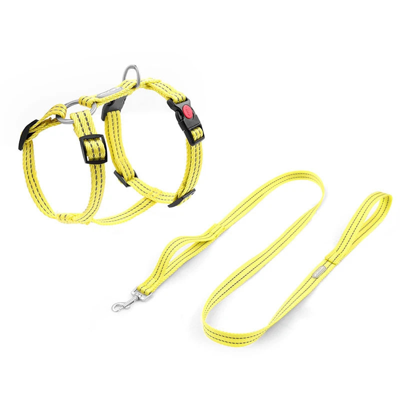 Harnais Anti-Évasion Type H pour Chien - Lavable, Réglable