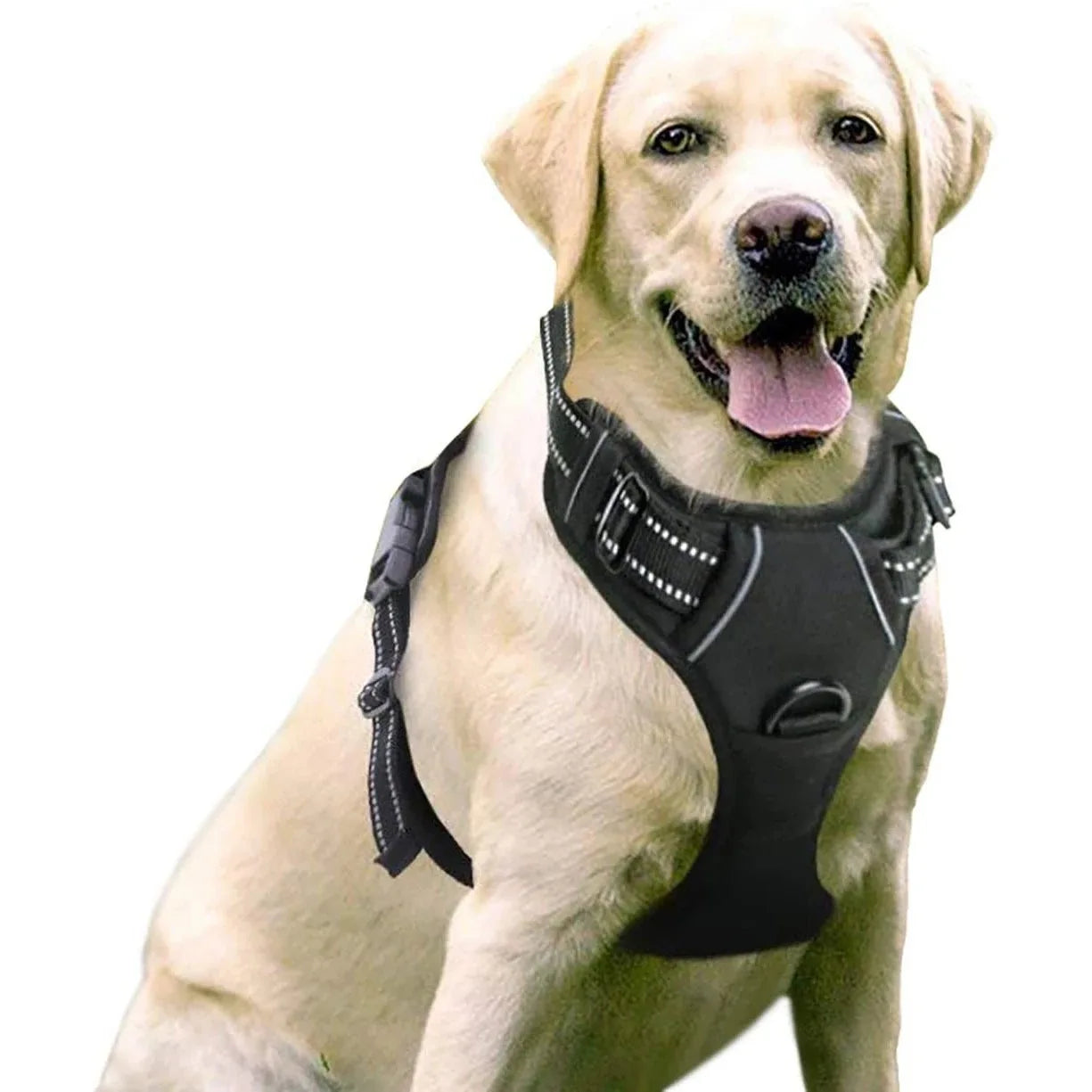 Harnais de Poitrine Antidérapant pour Chien Moyen/Grand - Style Gilet