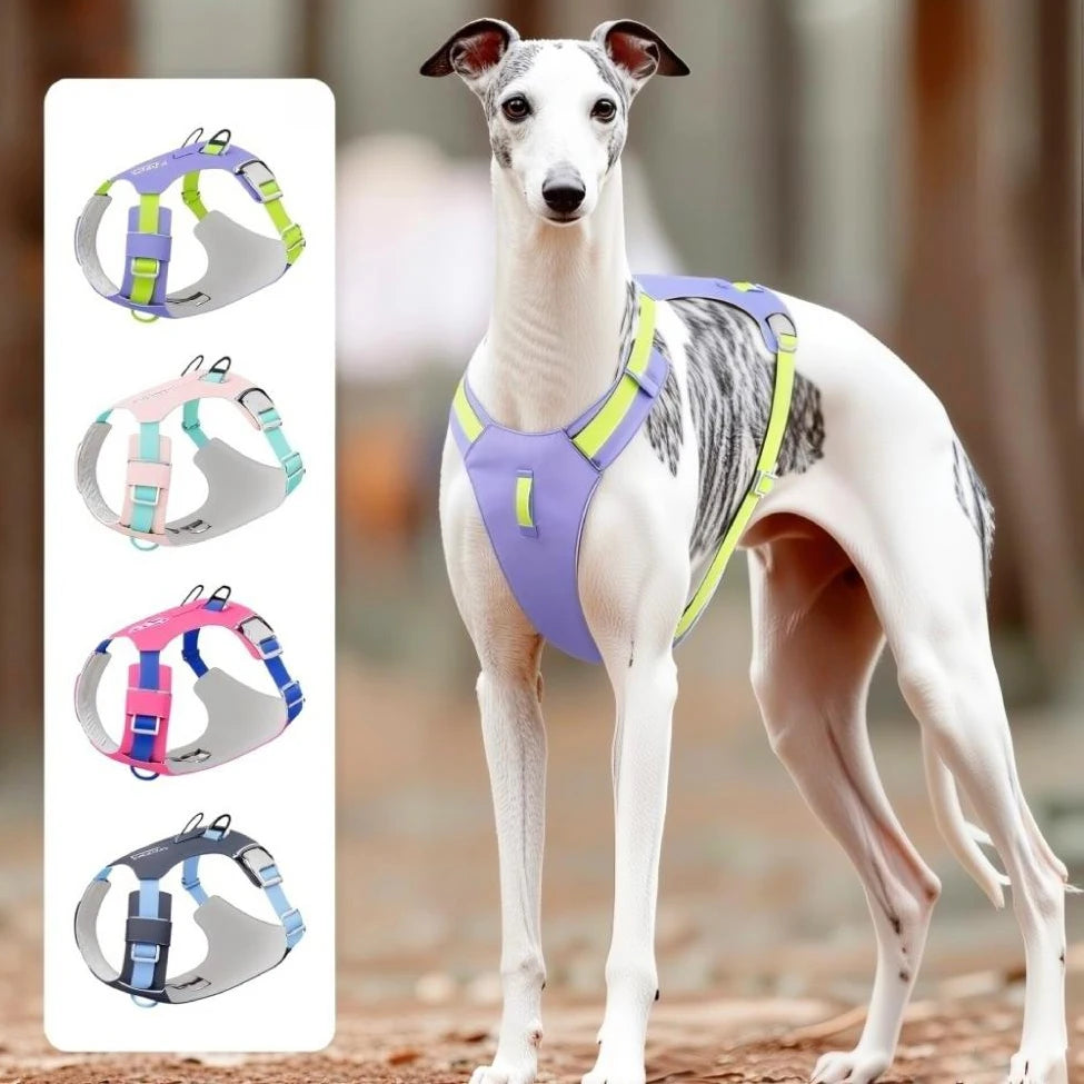 Harnais Léger Réfléchissant pour Chien et Chat - Sans Traction