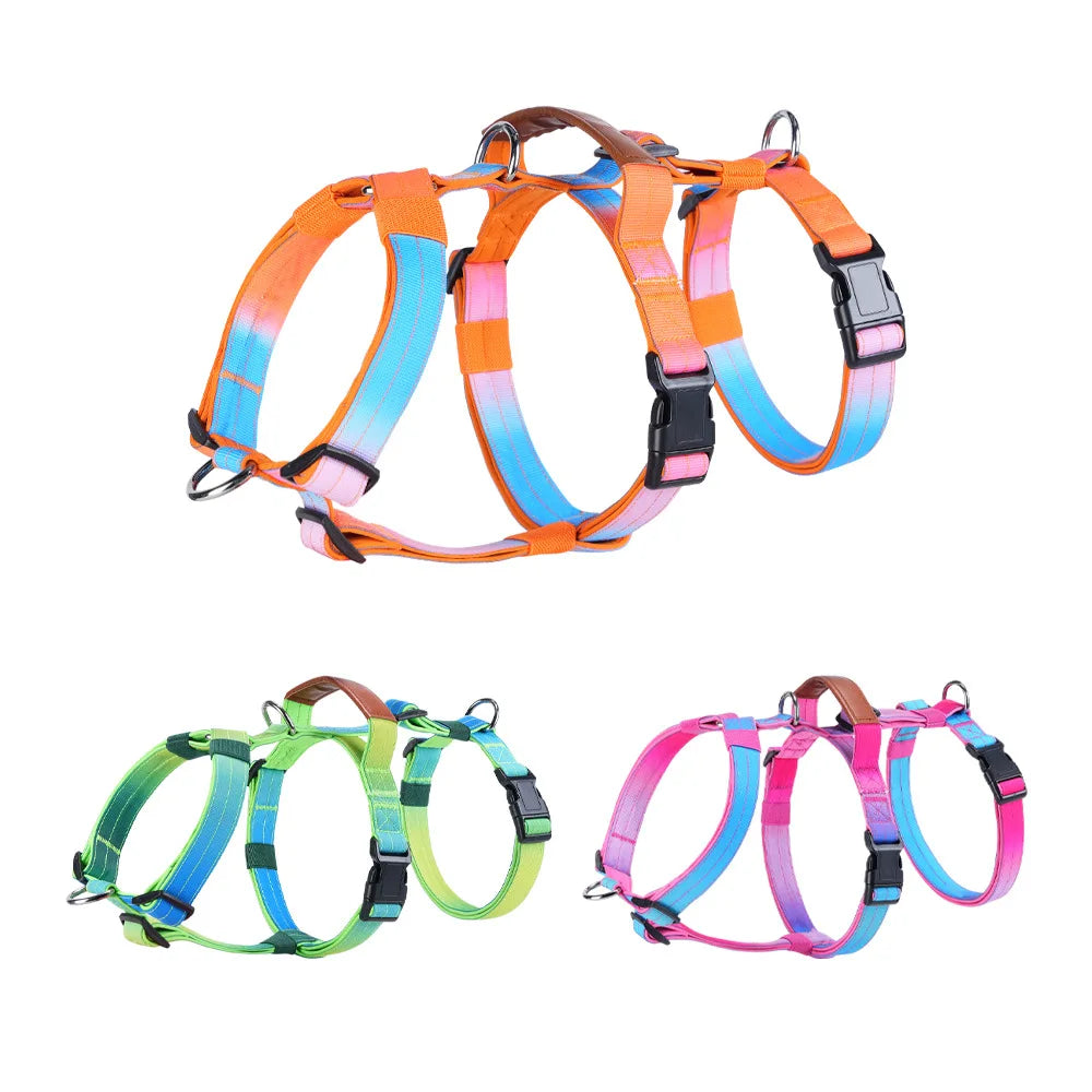 Harnais Anti-Traction Nylon pour Grand Chien - Entraînement