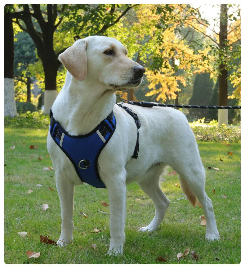 Harnais Type Veste pour Chien - Toutes Races, Résistant aux Chocs