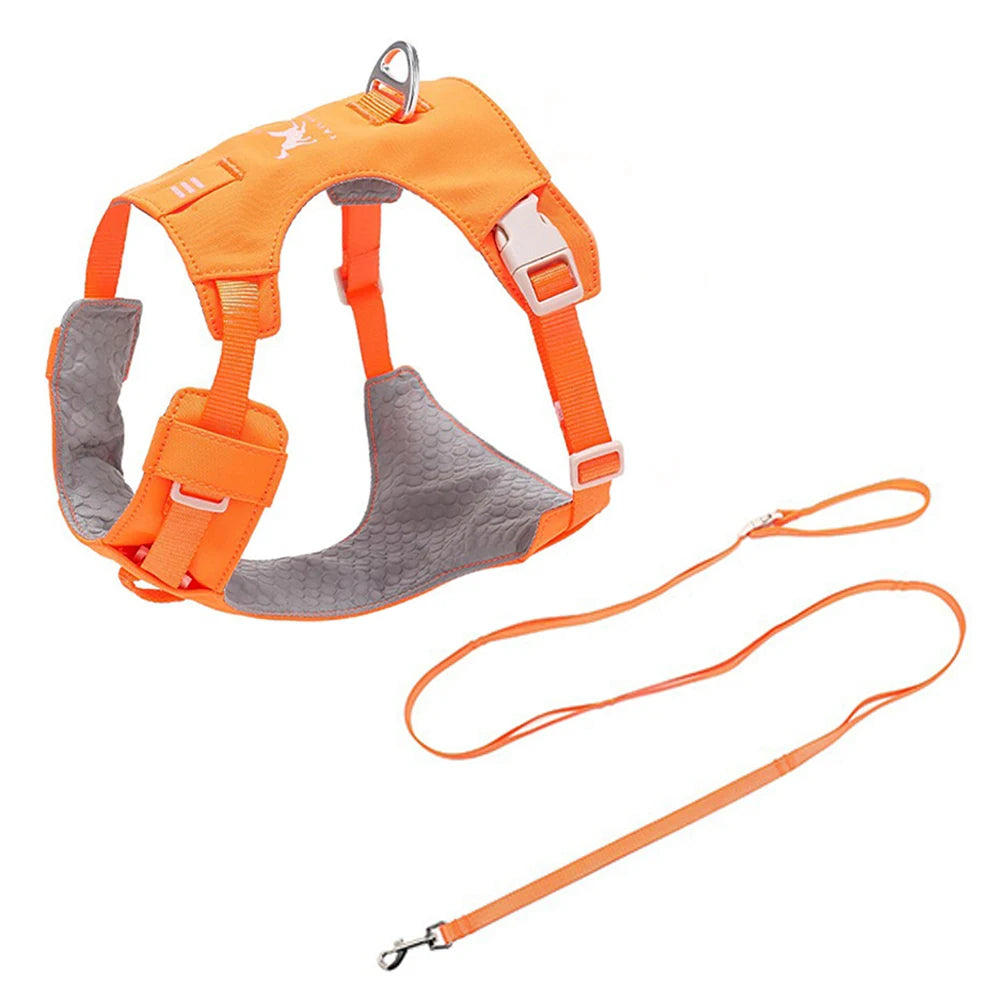 Harnais et Laisse Légers Anti-Traction pour Chien - Toutes Tailles