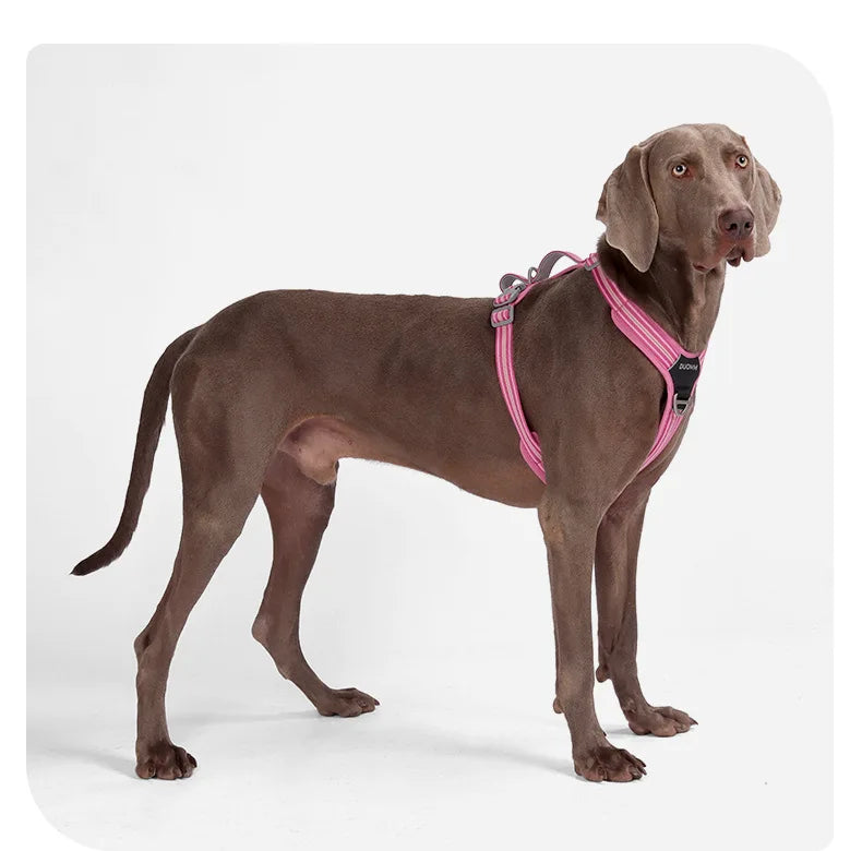 Harnais Anti-Traction Souple et Résistant pour Chien