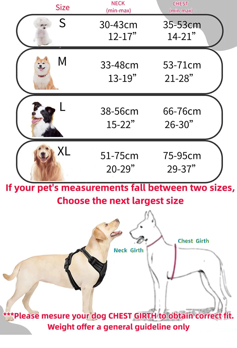 Harnais et Laisse Corde Nylon pour Grand Chien