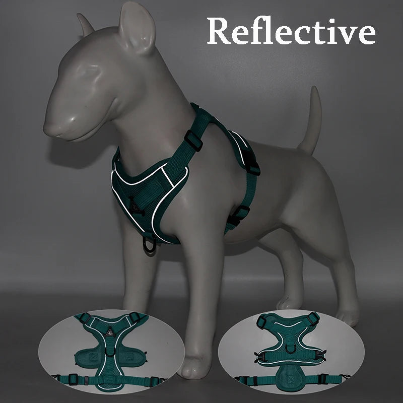 Ensemble Laisse Réglable pour Petit Chien et Chat - Bouledogue