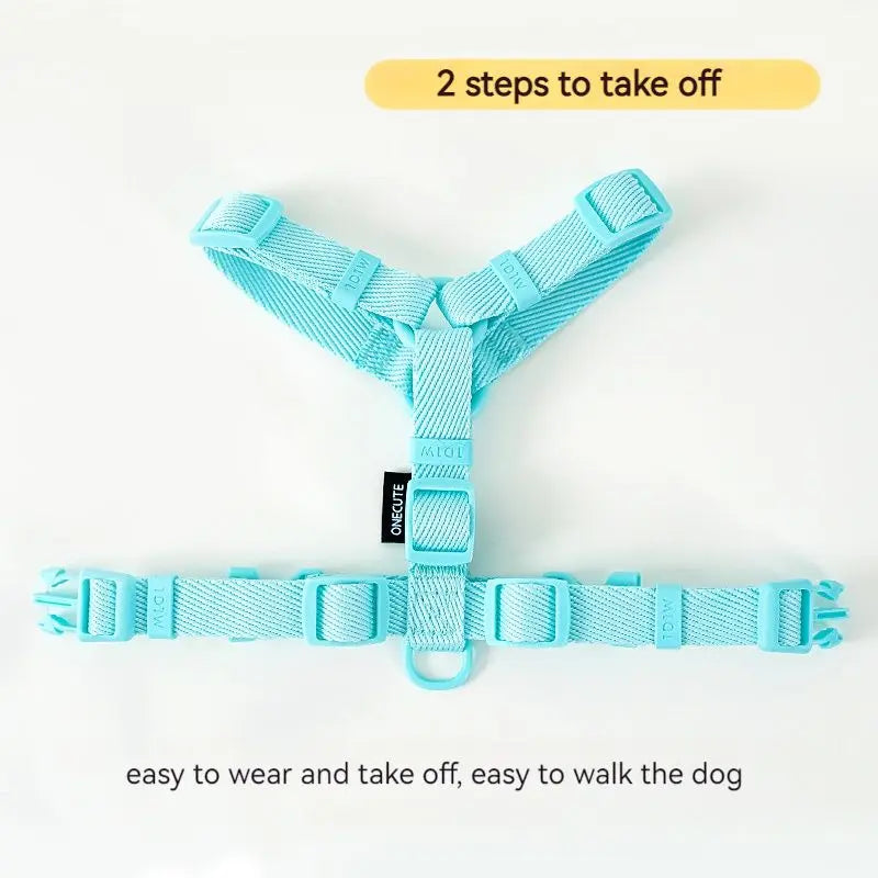 Ensemble Harnais et Laisse Coloré pour Petit Chien - Réfléchissant