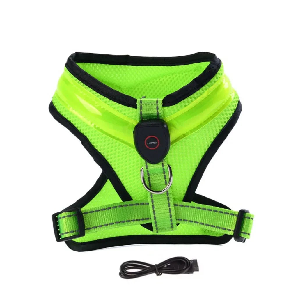 Harnais LED Lumineux Rechargeable pour Chien - Sorties Nocturnes