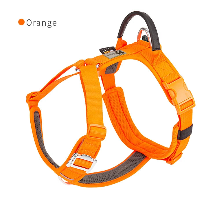 Ensemble Harnais et Laisse Anti-Traction pour Grand Chien