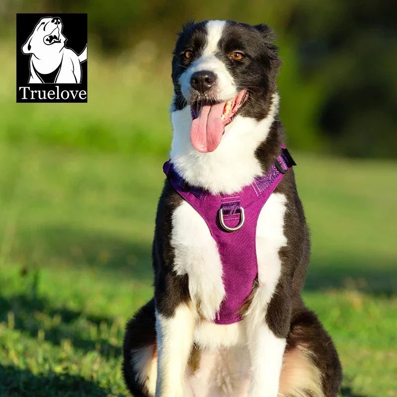 Harnais Nylon Double-H pour Chien - Léger et Imperméable